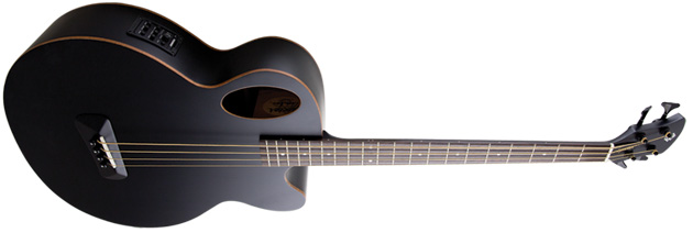 spector timbre acoustic bass