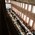 pioneerworks