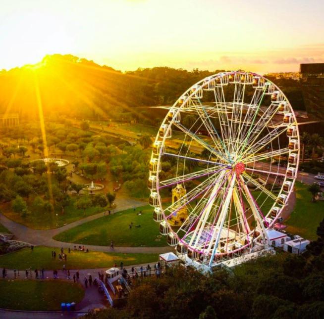 Golden Gate Park ferris wheel has reopened till 2025 + more good news  around the Bay Area - 7x7 Bay Area