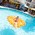 Pool Parties