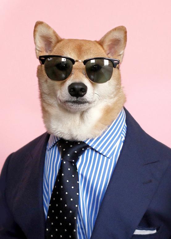 Let The New York Times and this Dog Teach You About Summer Menswear - PAPER