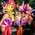 west indian parade