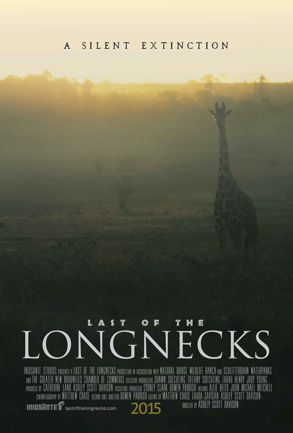 Kickstarter Campaign for New Documentary To Raise Awareness for Giraffe ...
