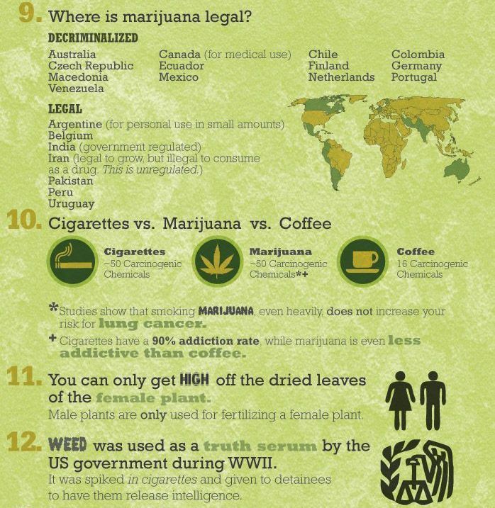 15 Things Everyone Should Know About Marijuana - Higher Perspective