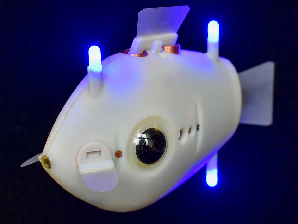 Meet Blueswarm, a Smart School of Robotic Fish - IEEE Spectrum