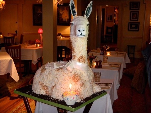 10 Llama Cakes That Are The Life Of The Party - The Flama