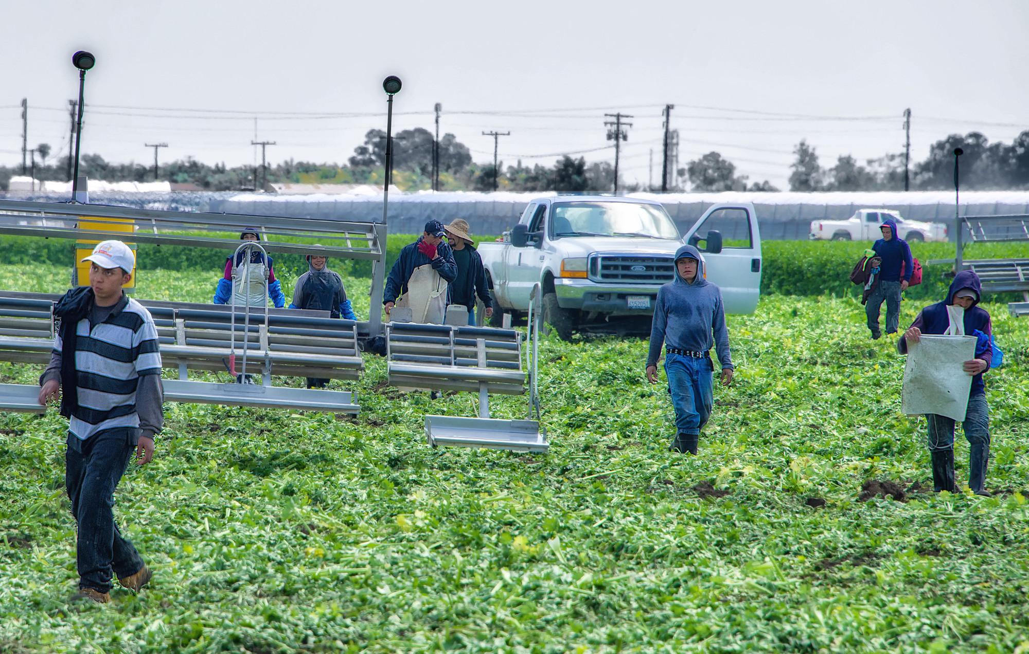 As masses of plaintiffs pursue Roundup cancer compensation, migrant ...