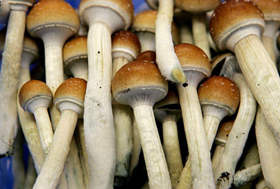 rawstory.com - The Conversation - 'From Magic Mushrooms to Big Pharma' - a college course explores nature's medicine cabinet and different ways of healing
