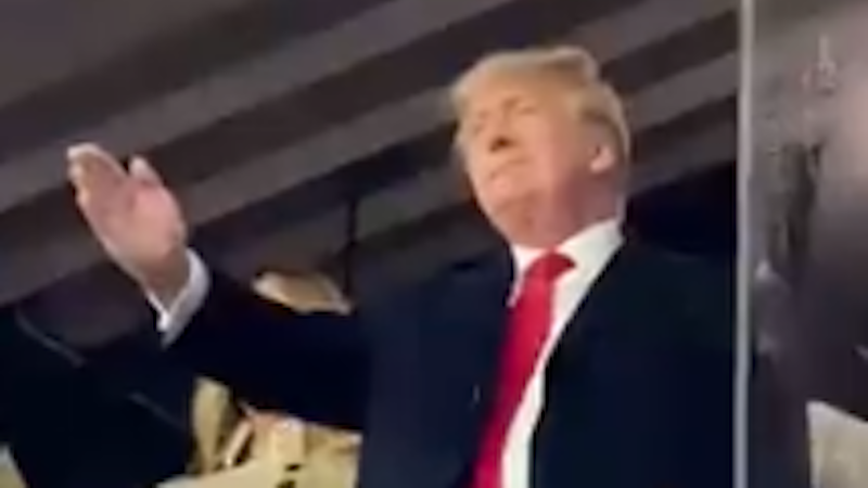 Donald Trump Tomahawk Chop at Braves World Series Game 4