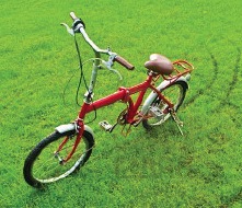The red bicycle syndrome