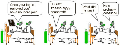 Fig 66