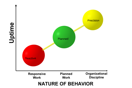 Nature of Behavior