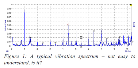 Figure 1: A typical vibration spectrum - not easy to understand is it?