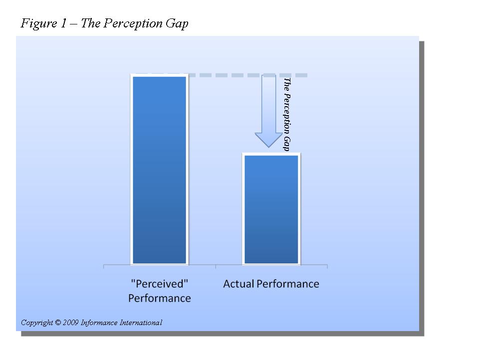 Figure 1 - The Perception Gap