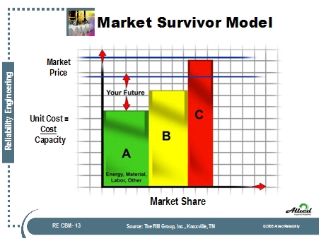 Market Survivor Model 