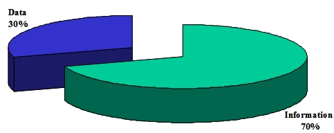 Information vs. Data pie chart