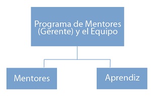 Figura 1: Ser Mentor de participantes 