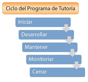 Figura 2: Ciclo del Programa de Tutoria