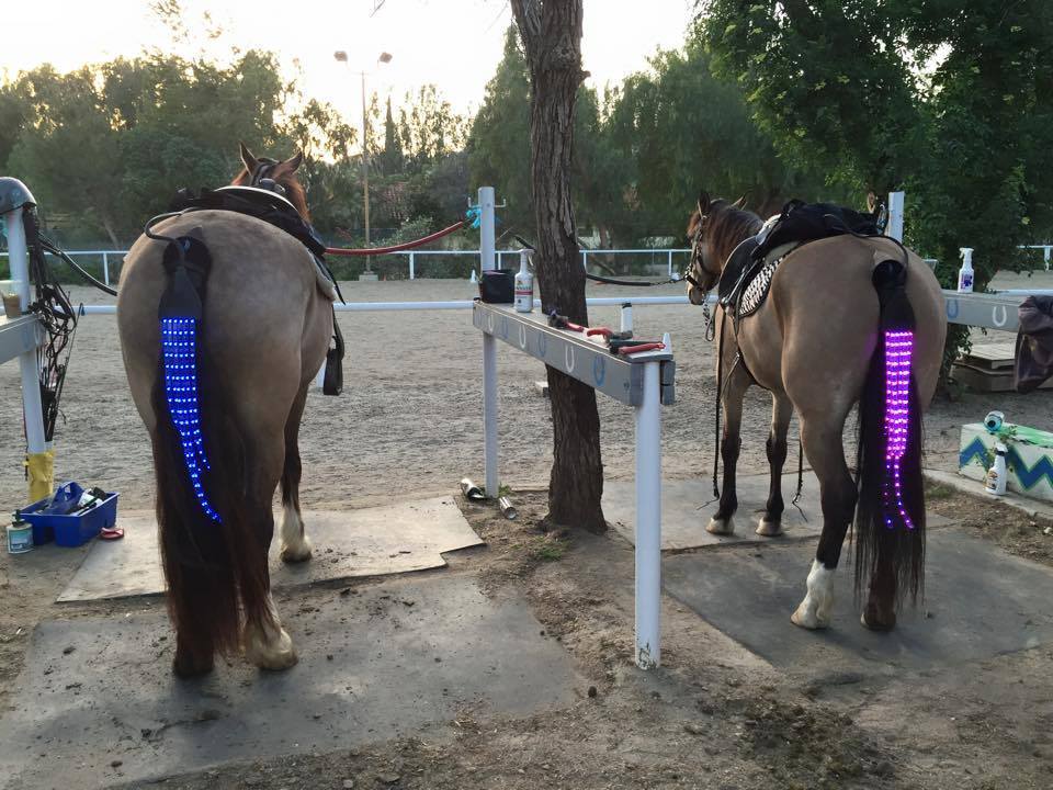 Here's A Really Bright Idea For Keeping Horses Safe At Night