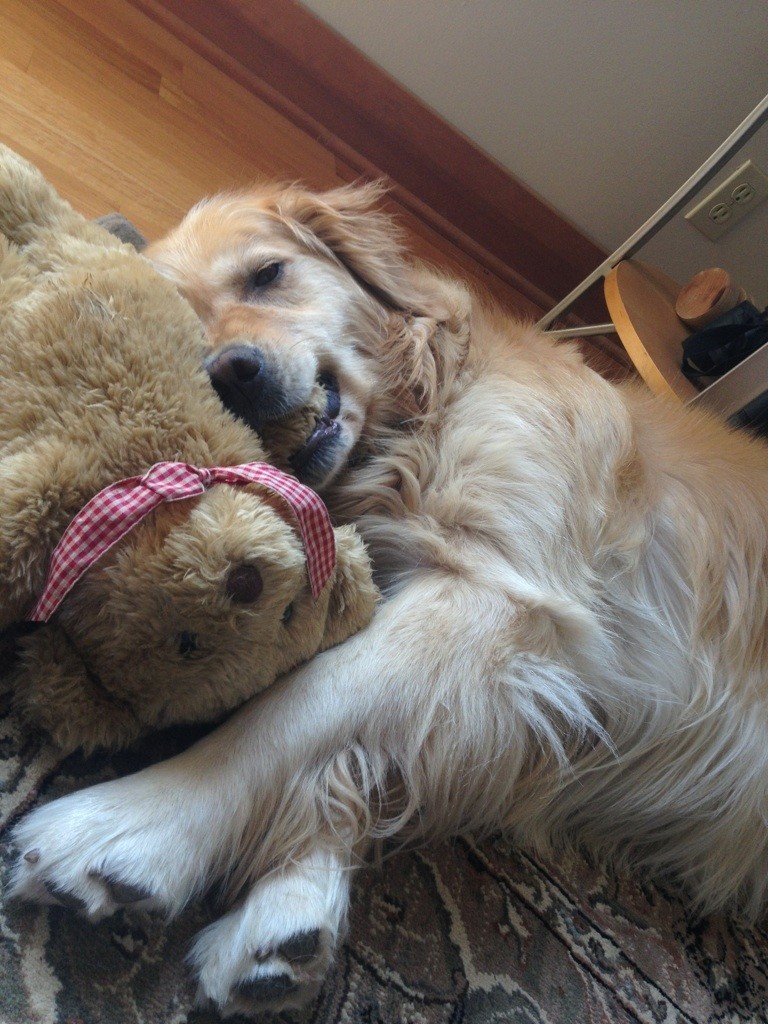 cuddling with stuffed animals