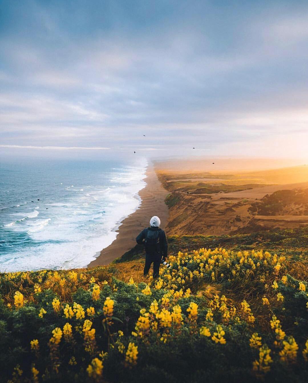Marin's 10 Best Day Hikes - 7x7 Bay Area - Vimarsana News