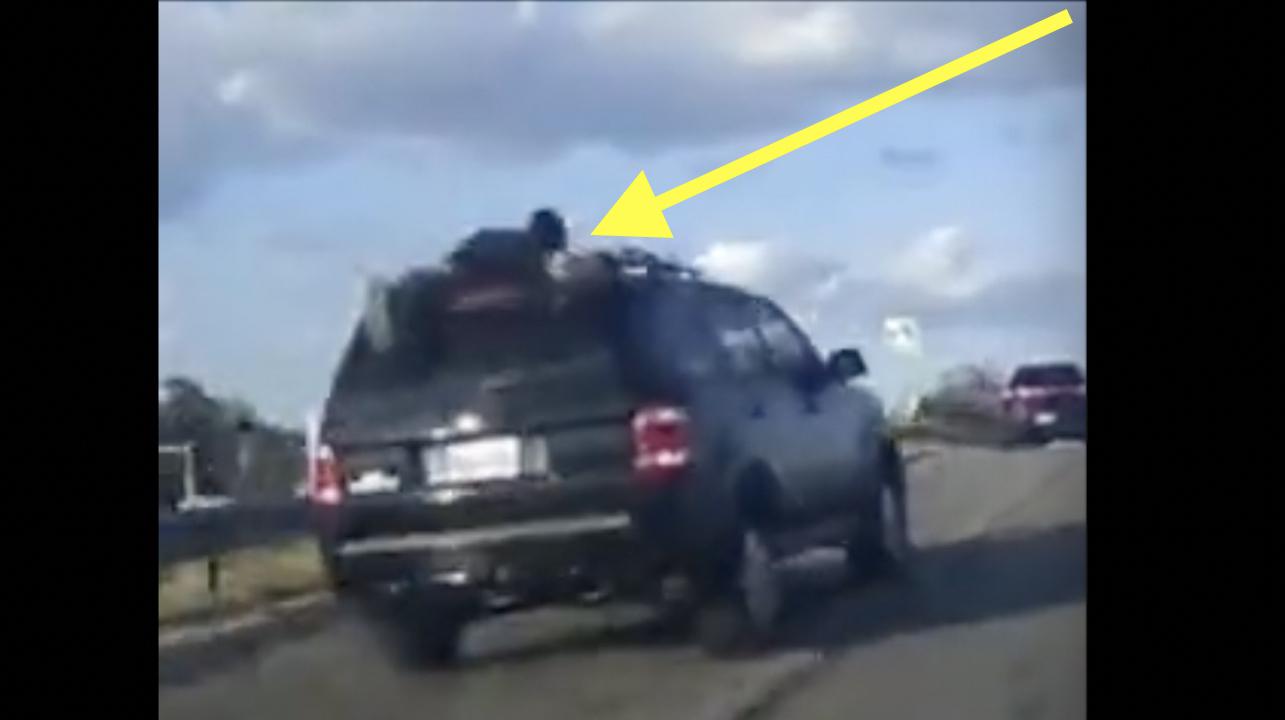 Video: Man clings to roof of his stolen SUV as crook behind wheel leads cops on high-speed chase