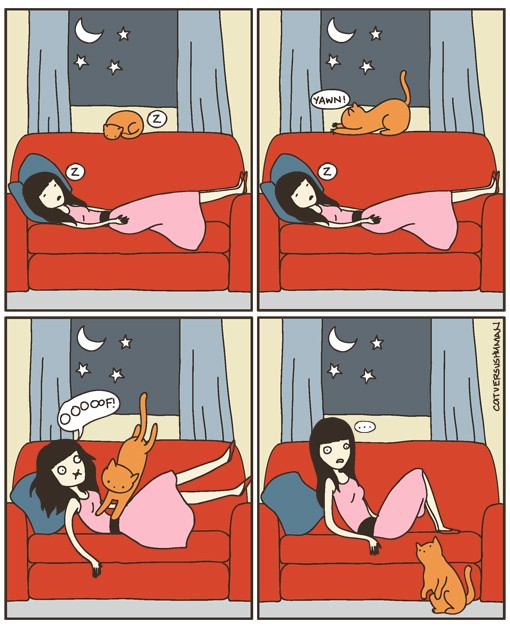 These Hilarious Comics Perfectly Illustrate Daily Life With A Cat