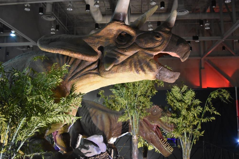 Massive dinosaurs stomp into Houston area for giant Texas return