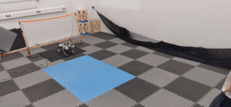 Goalkeeping Robot Dog Tends Its Net Like a Pro - IEEE Spectrum