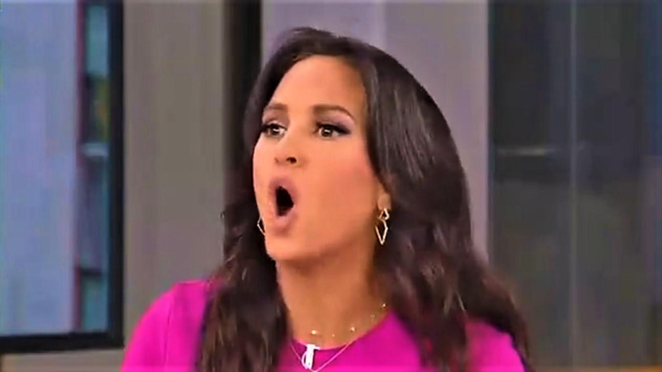 They need a slap in the face!' Fox News panel throws a fit about college kids bringing cats into dorms - Raw Story