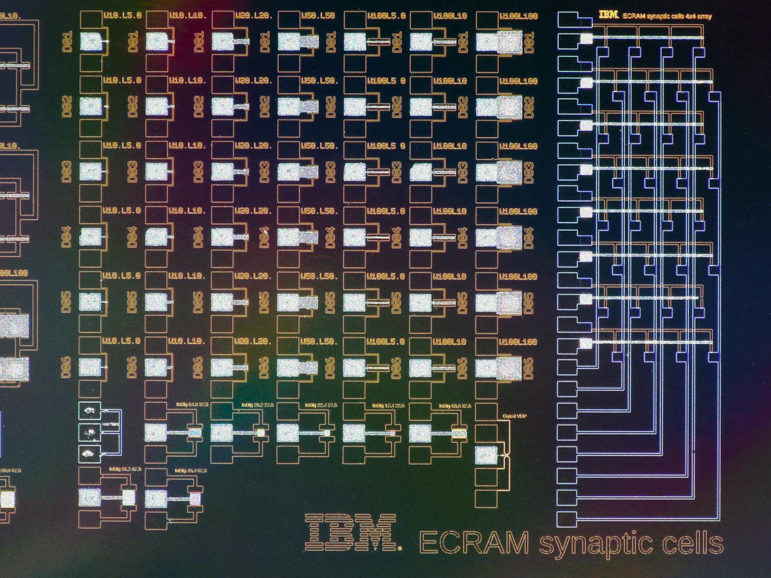 Computing With Chemicals Makes Faster, Leaner AI - IEEE Spectrum