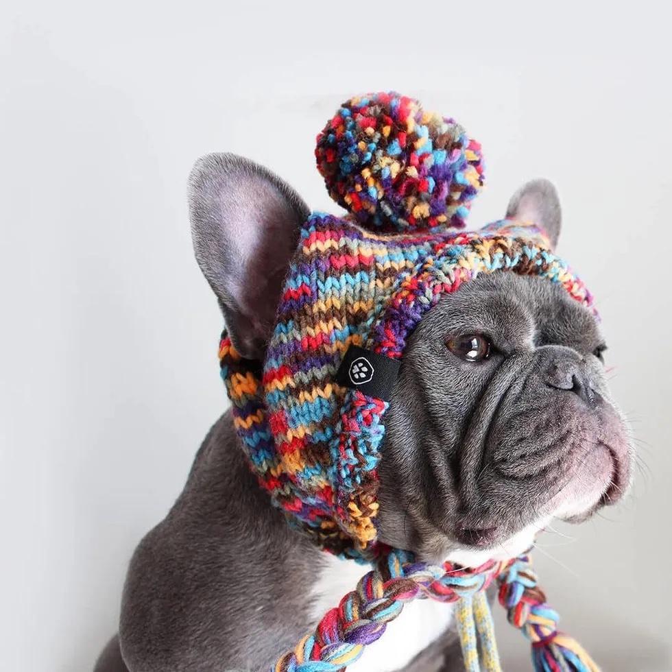 Dog Beanie - Knitted