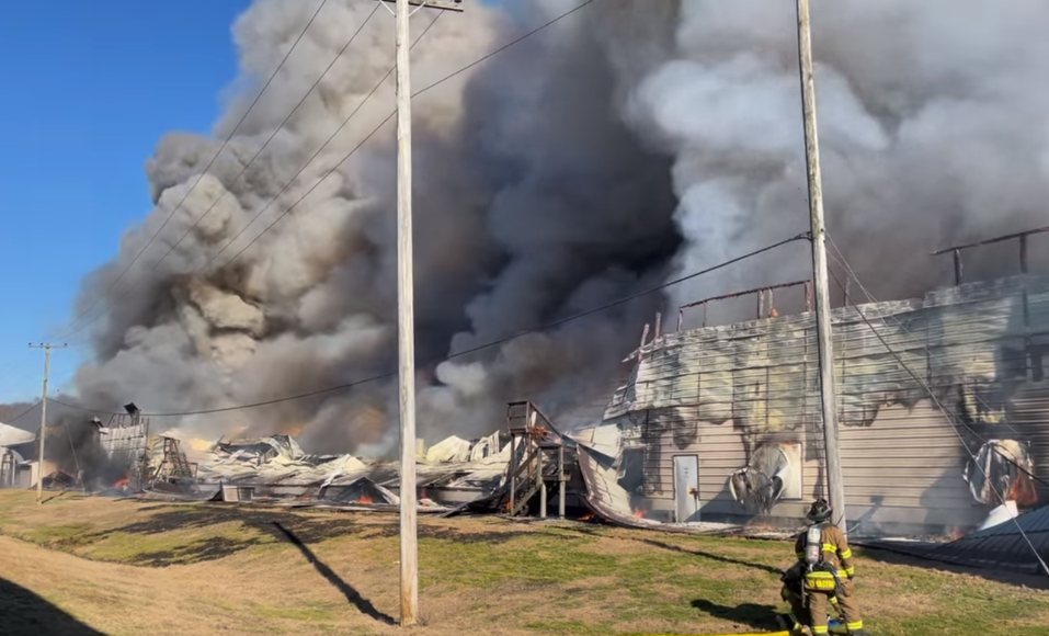 Third-biggest egg farm in US catches fire, 21 fire departments respond to huge blaze that likely killed thousands of chickens