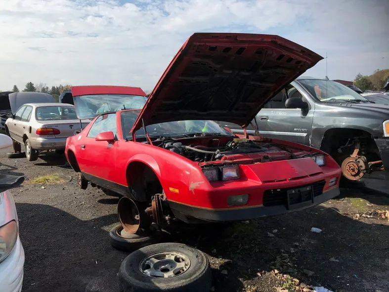 Are Auto Salvage Yards Still an Enthusiast's Treasure Trove?