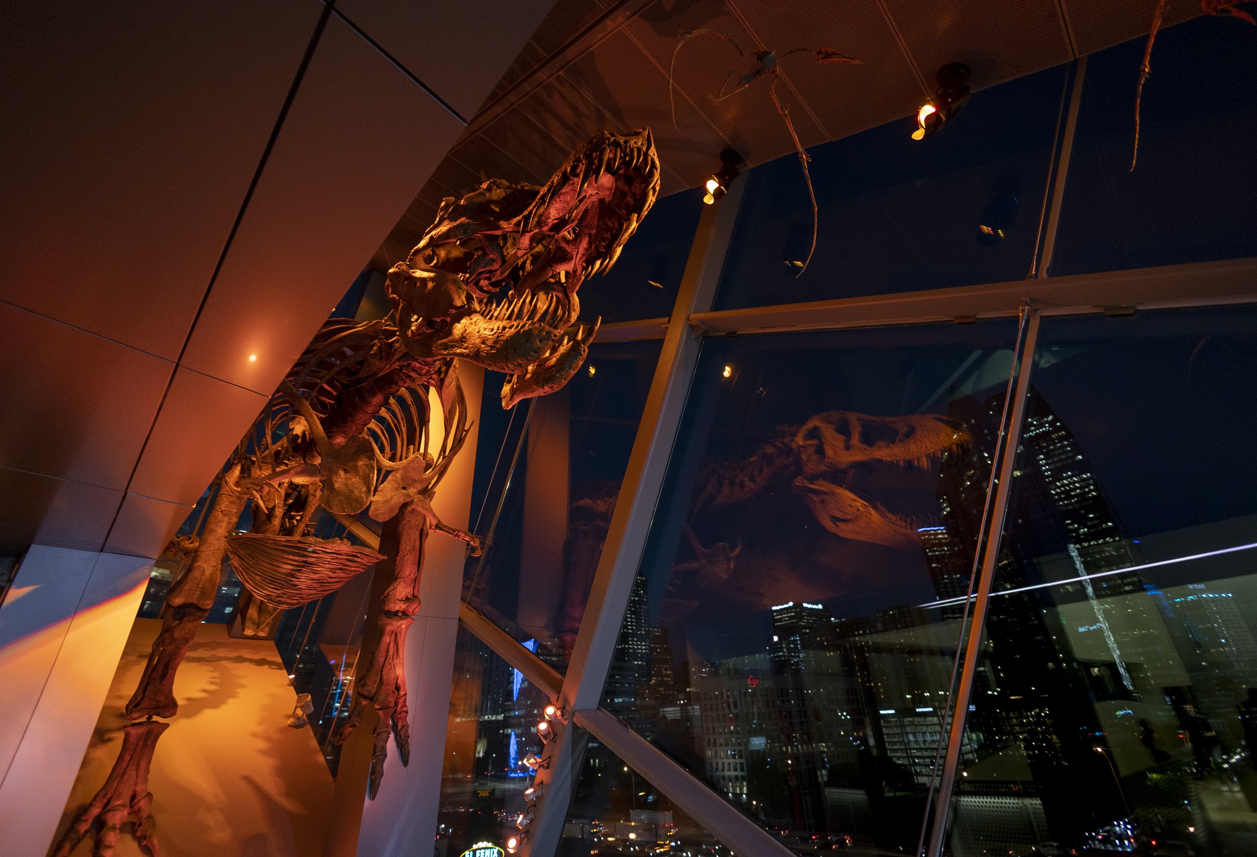 Thursdays on Tap at the Perot Museum is a great date night idea if you