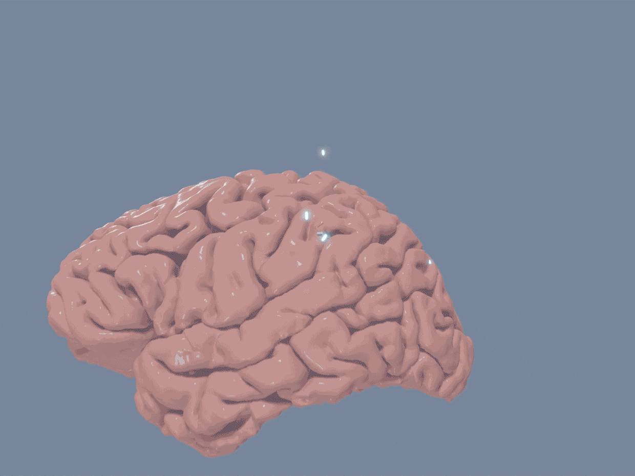 Brain at 360 D