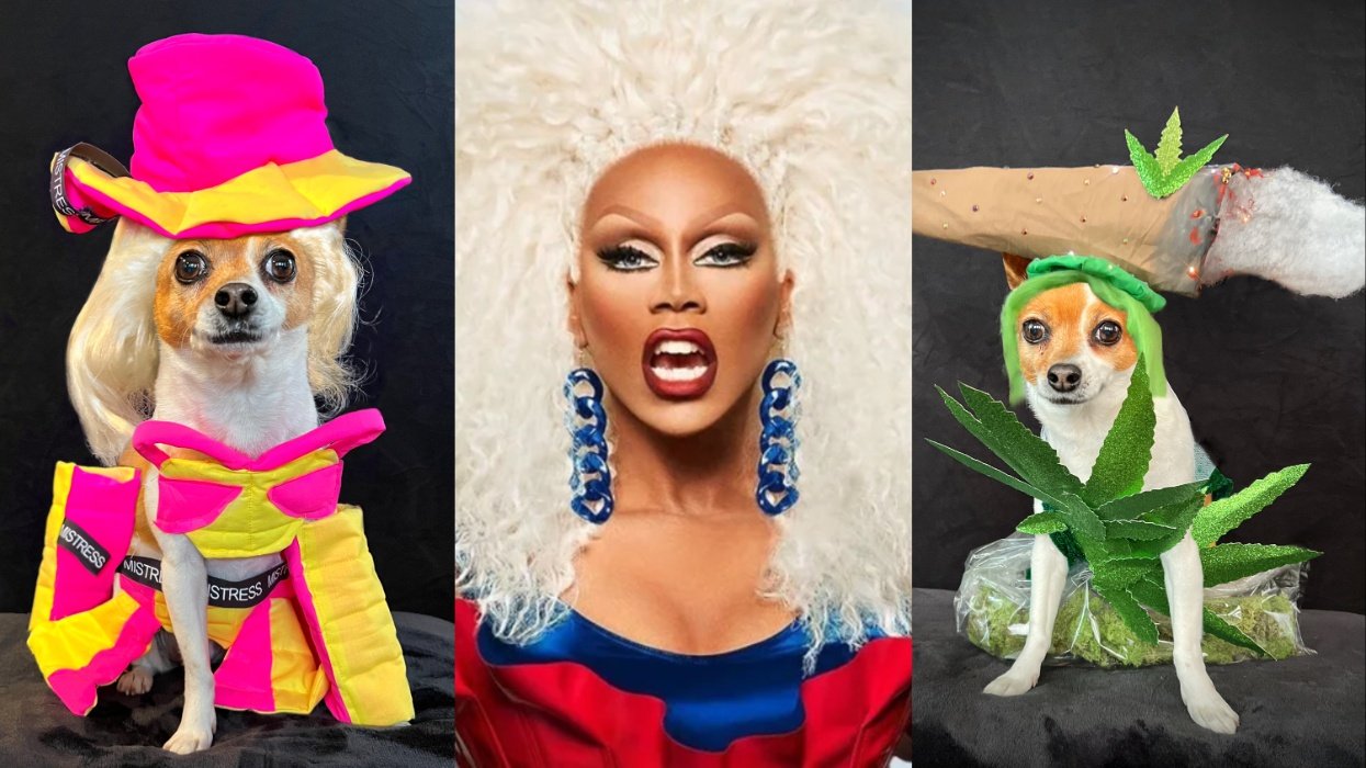 Meet RuPaul’s Four-Legged Doppelganger RuPawl