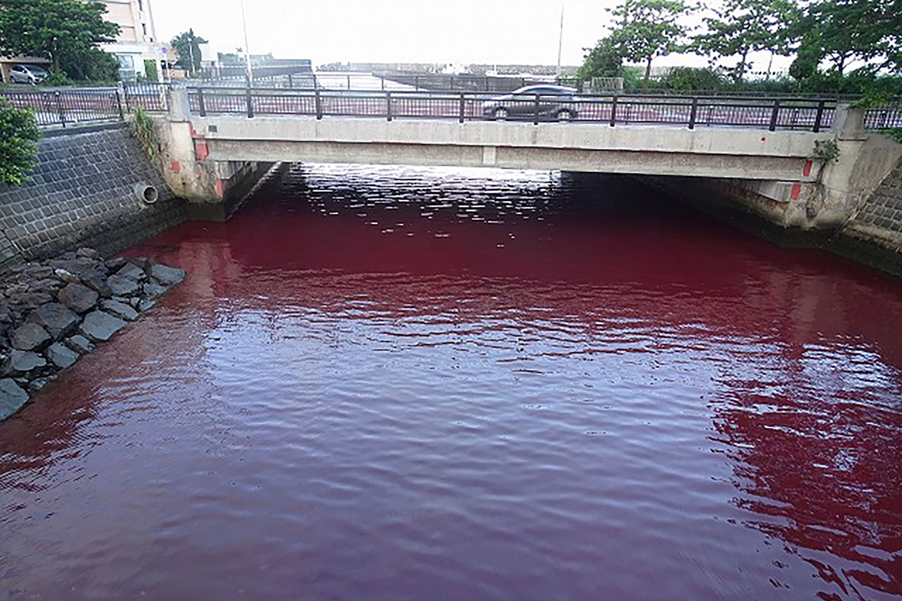 Locals alarmed as clear Japanese sea turns violent red