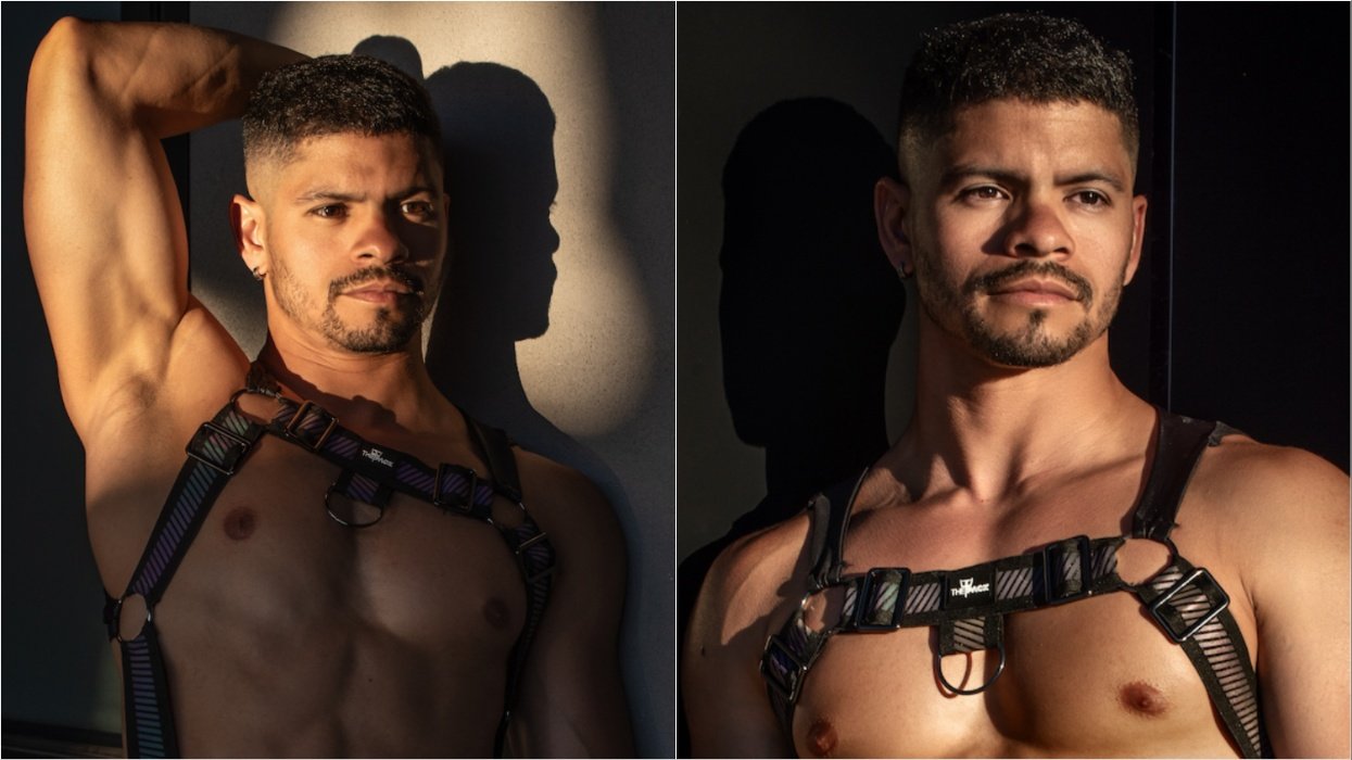 model in harness