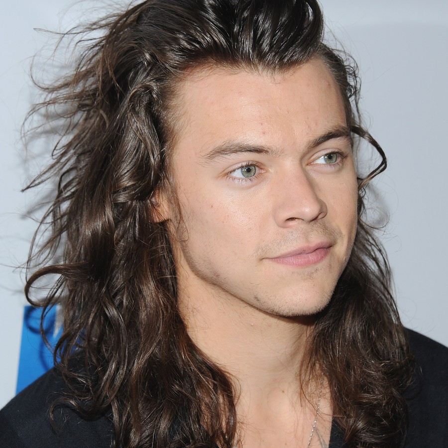 15 Times Harry Styles' Hair Won Over Our Hearts