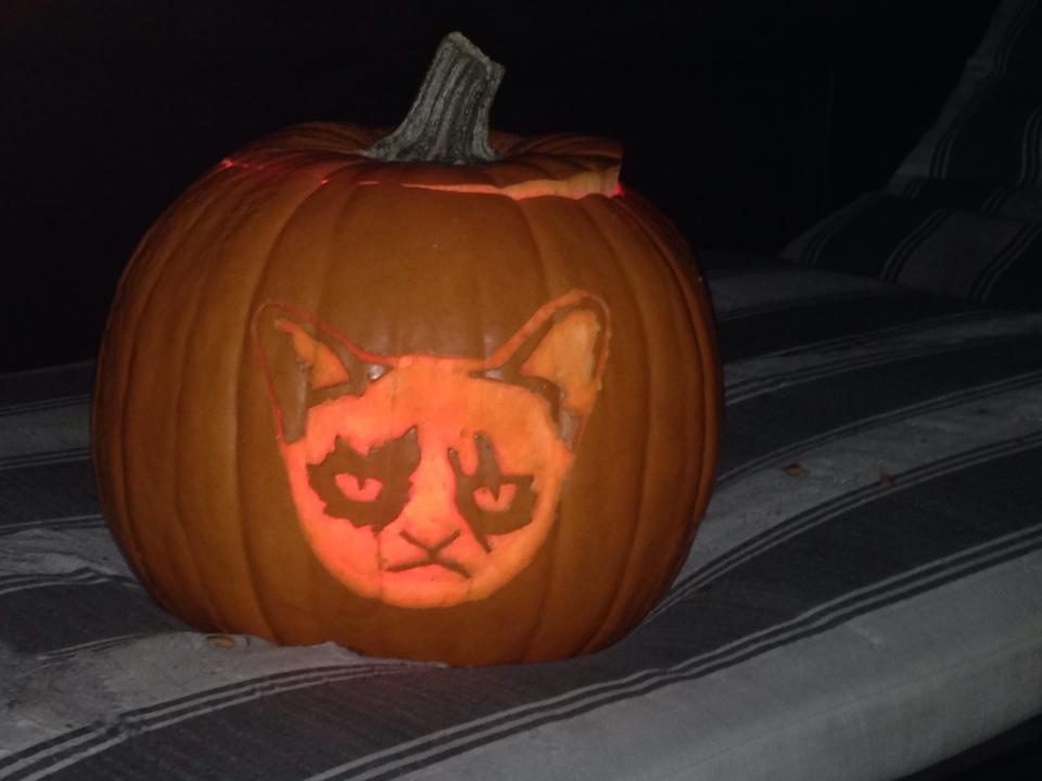 Move Over, Spooky Faces: Animals Make The Best Jack-O’-Lanterns