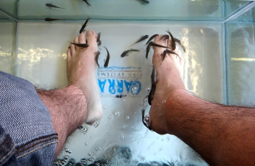 US Supreme Court Could Decide If Fish Should Be Performing Pedicures