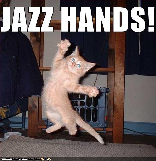 Lolcat Cat and Kitten Jazz Hands Edition Love Meow