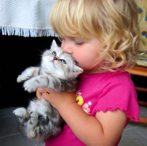 Girl Kisses Kitten Cute Cat Picture Love Meow