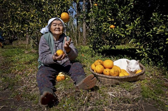 Chronicle Of 87 Year Old Grandmother And Her Beloved Cat Love Meow 2841