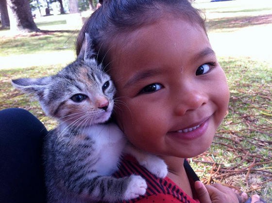 Happy Kitties at Cat Sanctuary in Hawaii - Love Meow