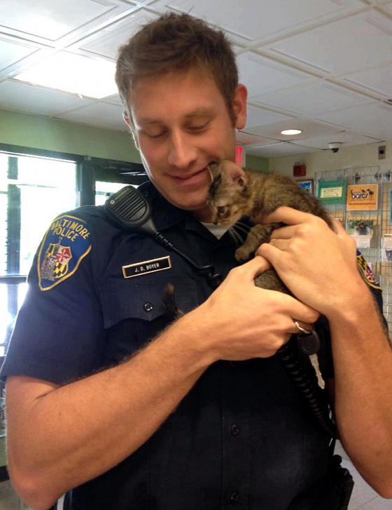 Happy male police cat at duty