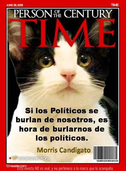 Topic des chats - Page 34 980x