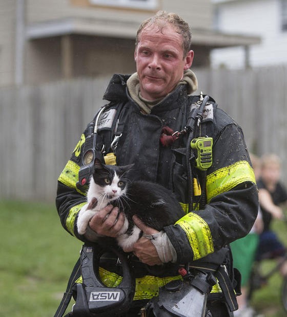 Firefighters Save Cat From House Fire: Emotional Reunion - Love Meow