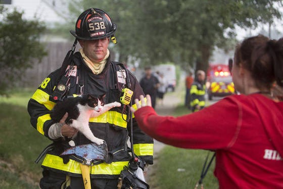 Firefighters Save Cat From House Fire: Emotional Reunion - Love Meow